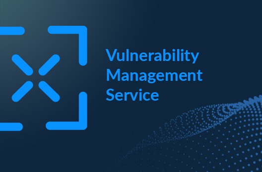 Vulnerability Management Service