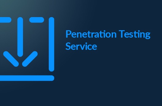 Penetration Testing Service Datasheet