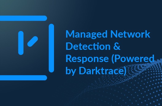 Managed Network Detection & Response(Powered by Darktrace)