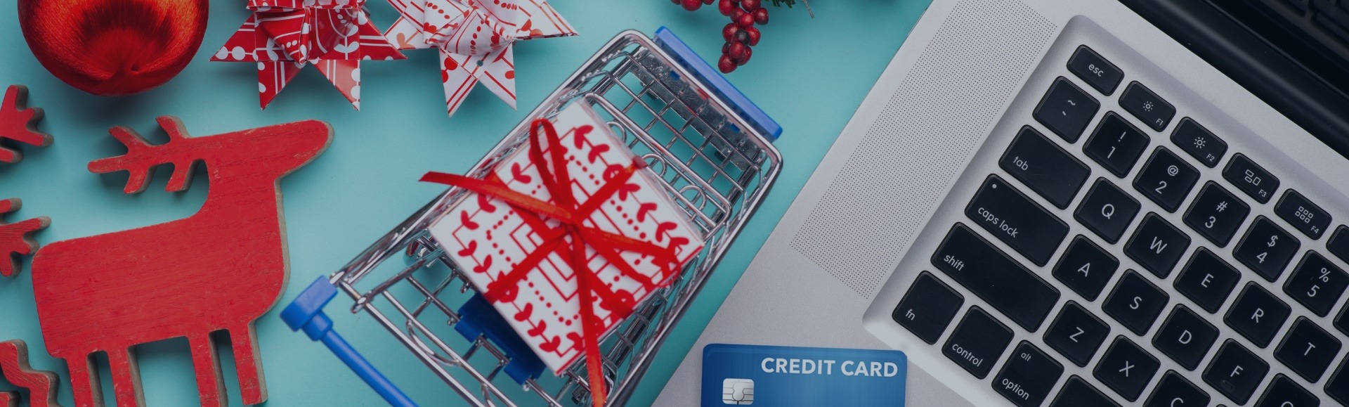 Shopping During the Festive Period. An Upsurge in Cyber Threats