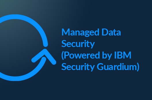 Managed Data Security(Powered by IBM Security Guardium)
